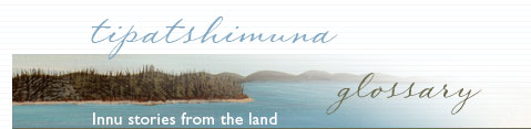 Introduction - Innu stories from the land - Virtual Museum of Canada